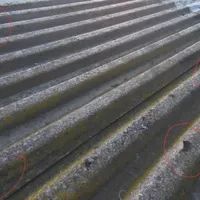 Project image 6